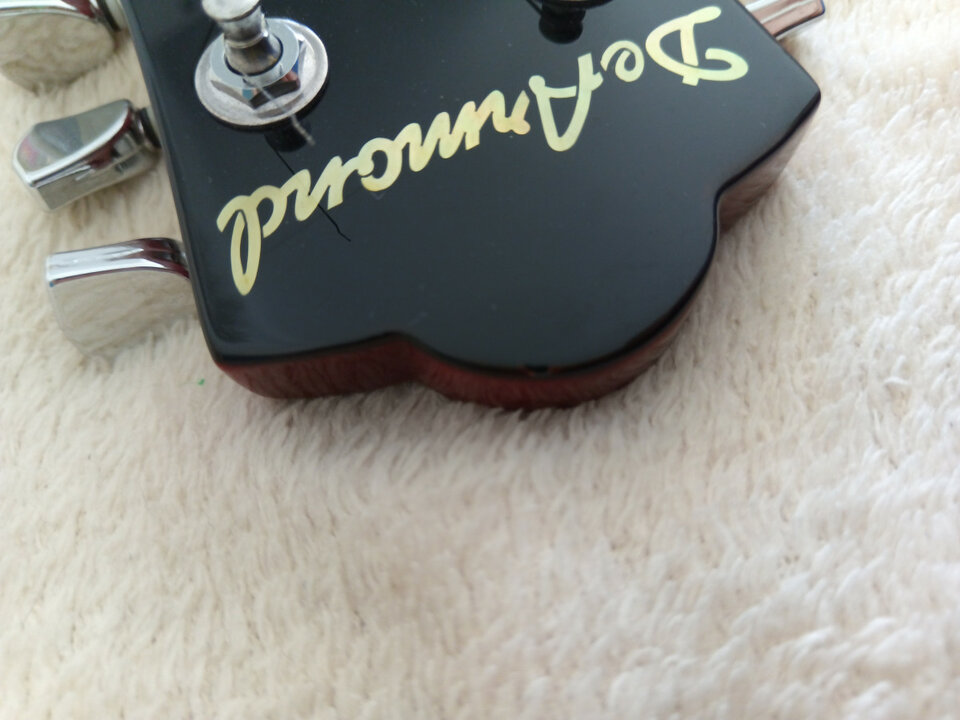 Vendo o cambio 12 cuerdas - Dearmond S73