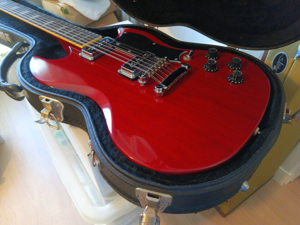 Vendo o cambio 12 cuerdas - Dearmond S73