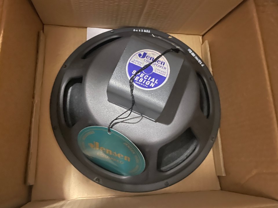 Jensen Blackbird 40 12”/8 Ohms de segunda mano · Foto 1 de 2 · Granada · 129 €