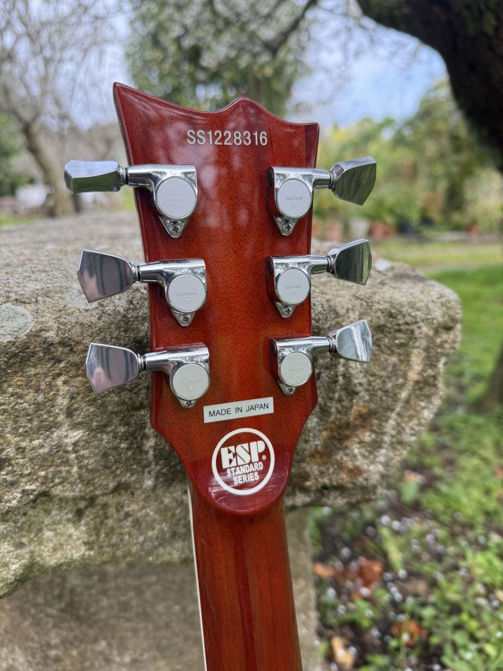 ESP Eclipse Standard