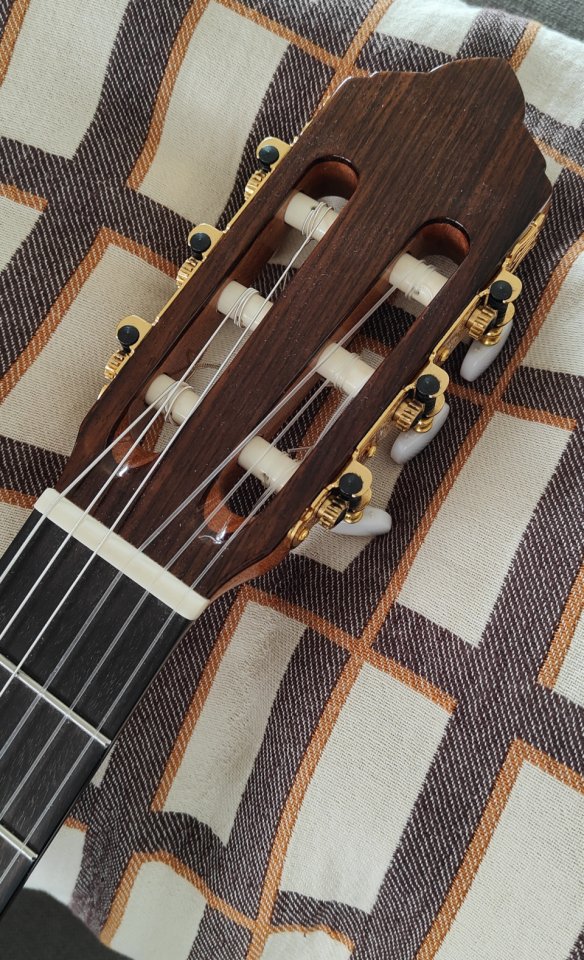 Guitarra Clásica Sulayr Lattice (2024)