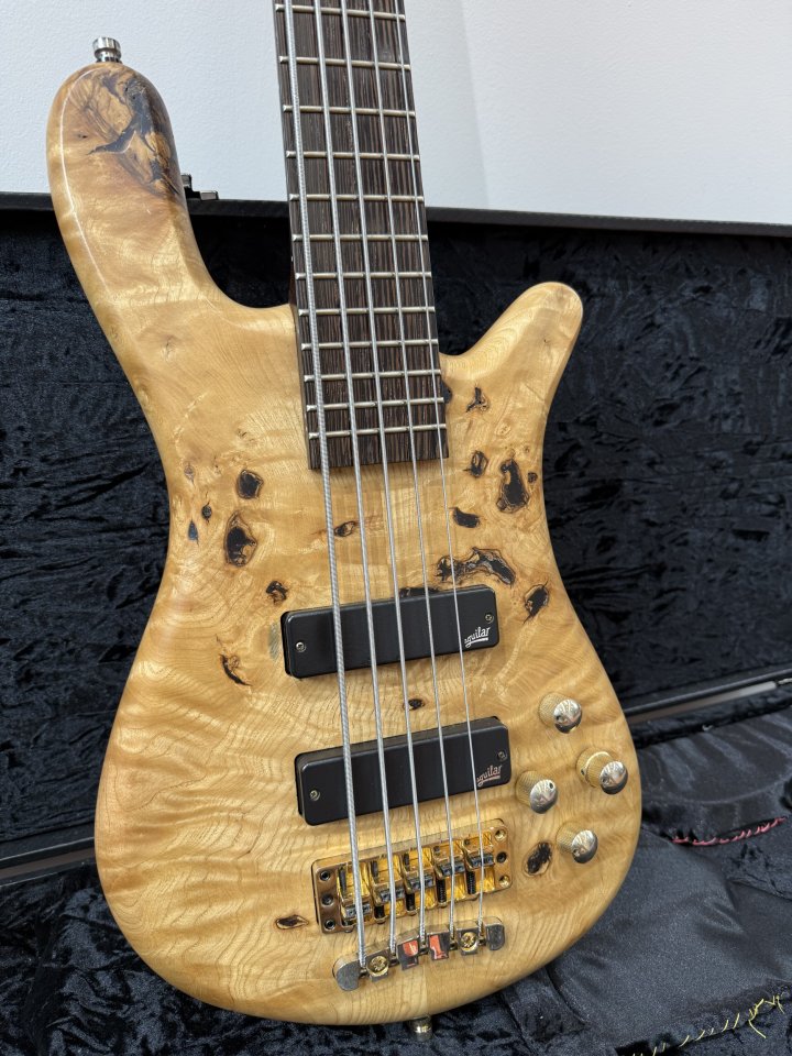 Warwick Streamer LX LTD 2018 de segunda mano · Foto 1 de 7 · Cantabria · 2200 €