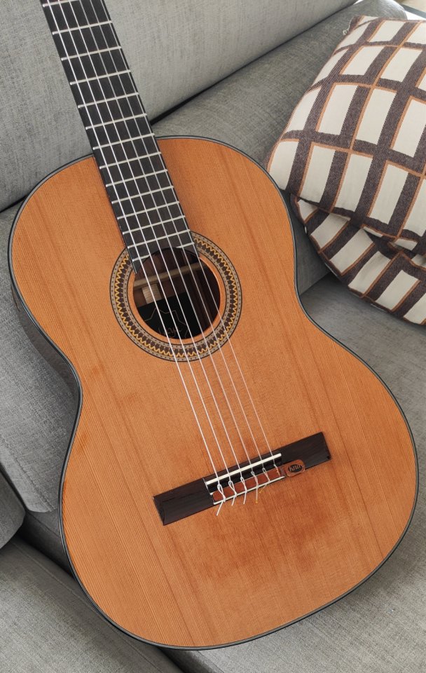 Guitarra Clásica Sulayr Lattice (2024)