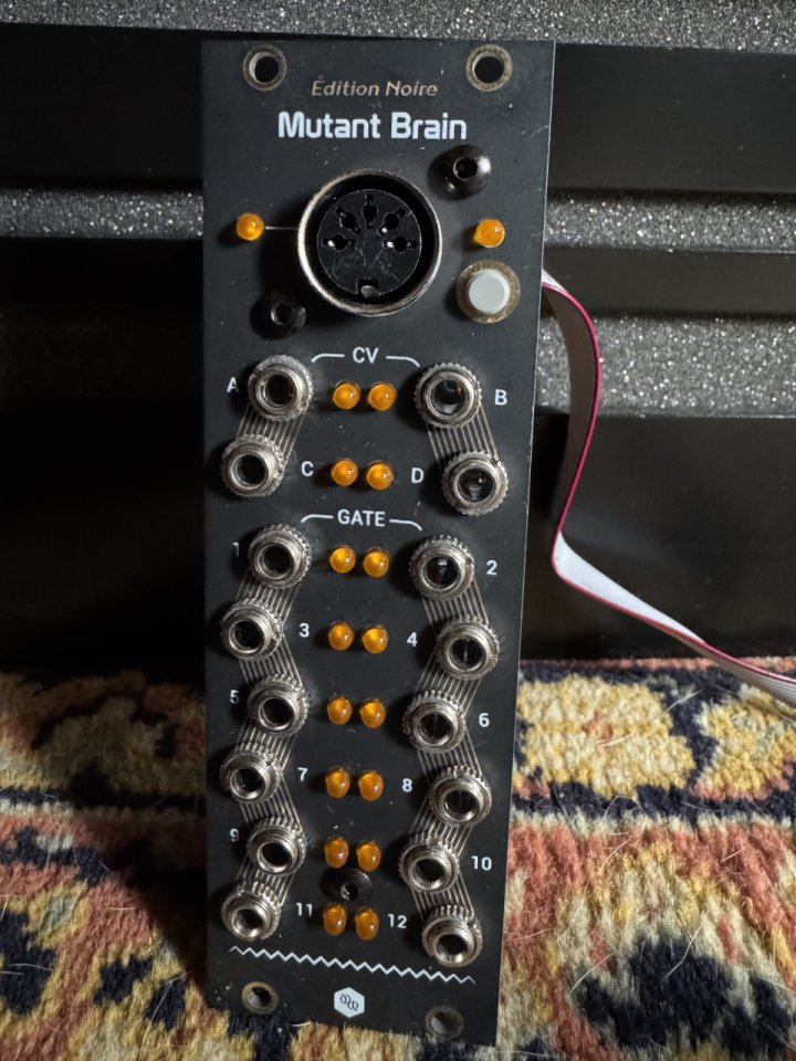 Hexinverter Mutant Brain