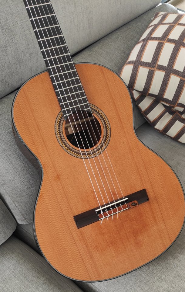 Guitarra Clásica Sulayr Lattice (2024)