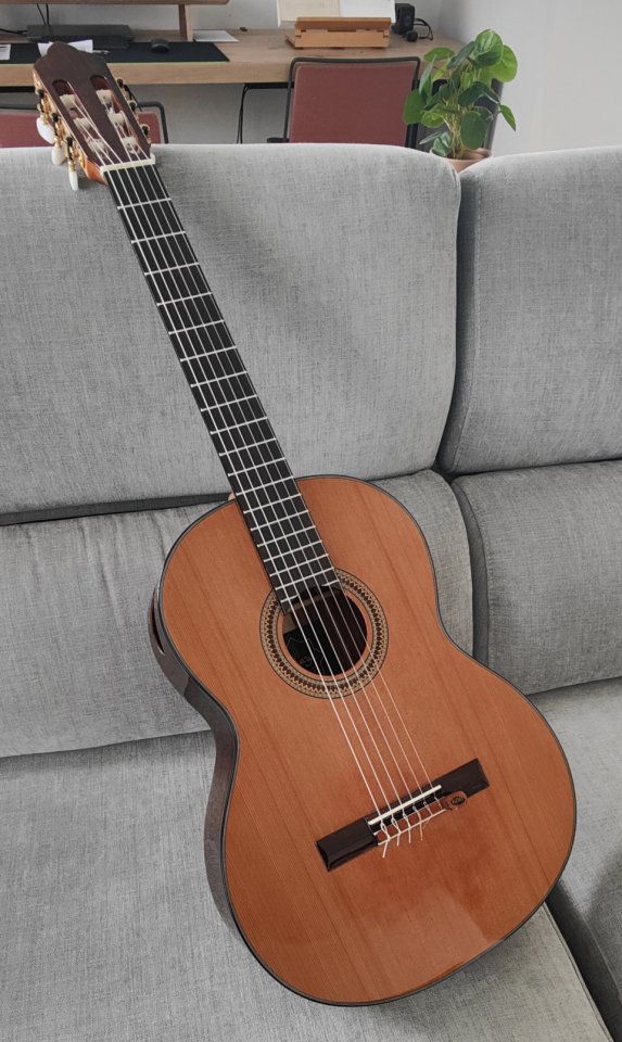 Guitarra Clásica Sulayr Lattice (2024)