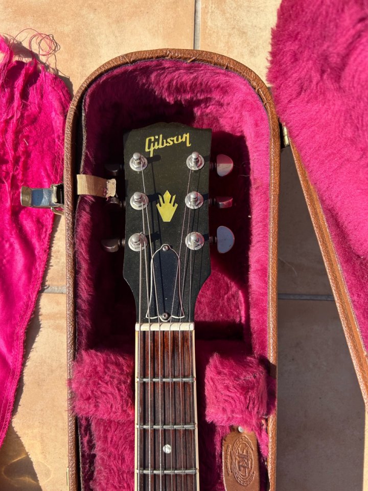 Gibson ES 335 noventera