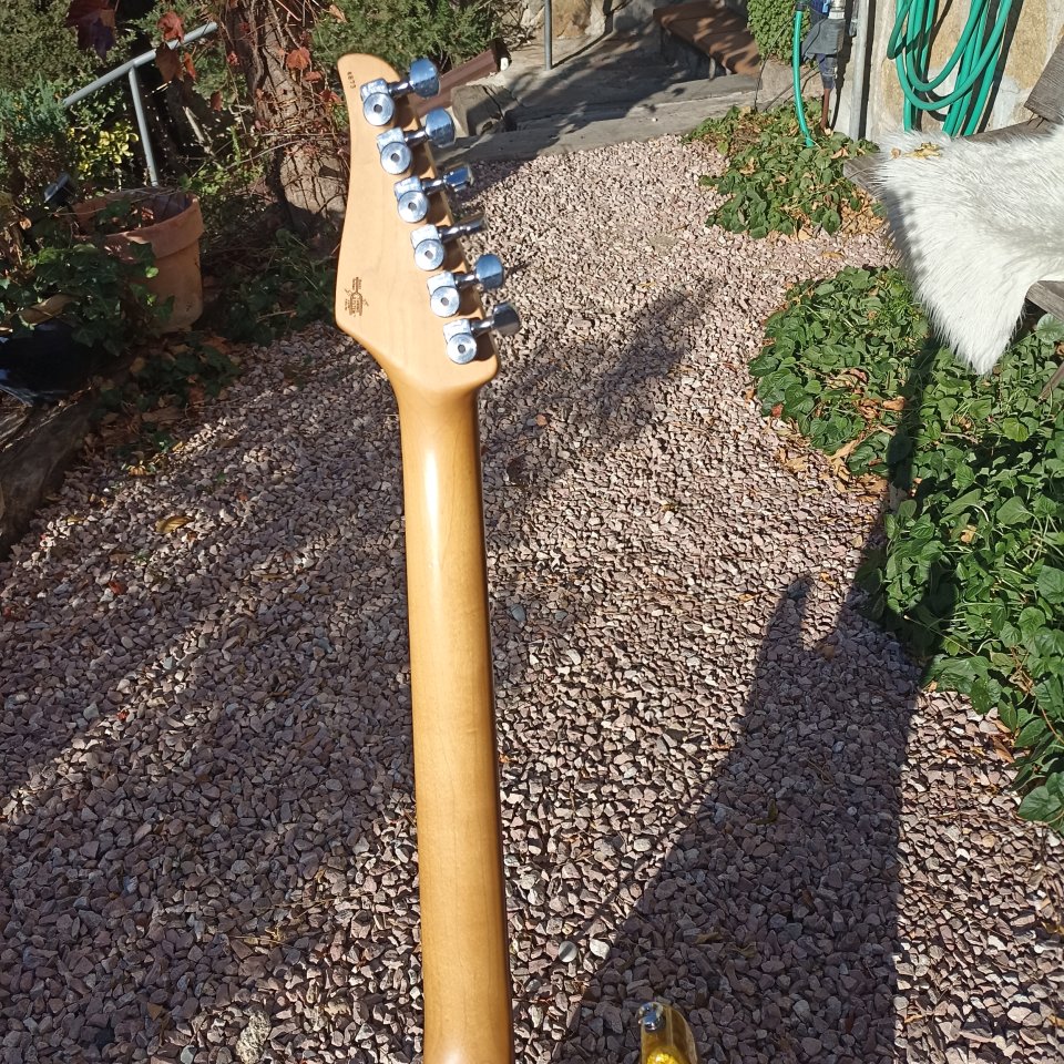 Cambio suhr Standard gold de segunda mano · Foto 4 de 7 · Barcelona