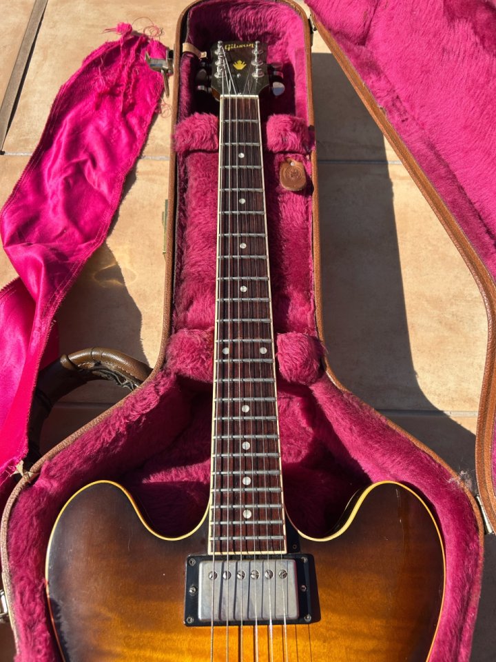Gibson ES 335 noventera