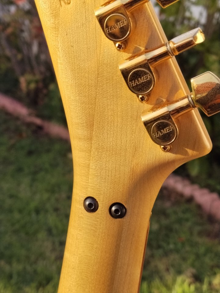 Hamer USA Californian 1988