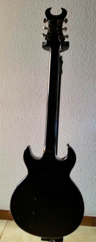 SCHECTER diamond series DEVIL TRIBAL