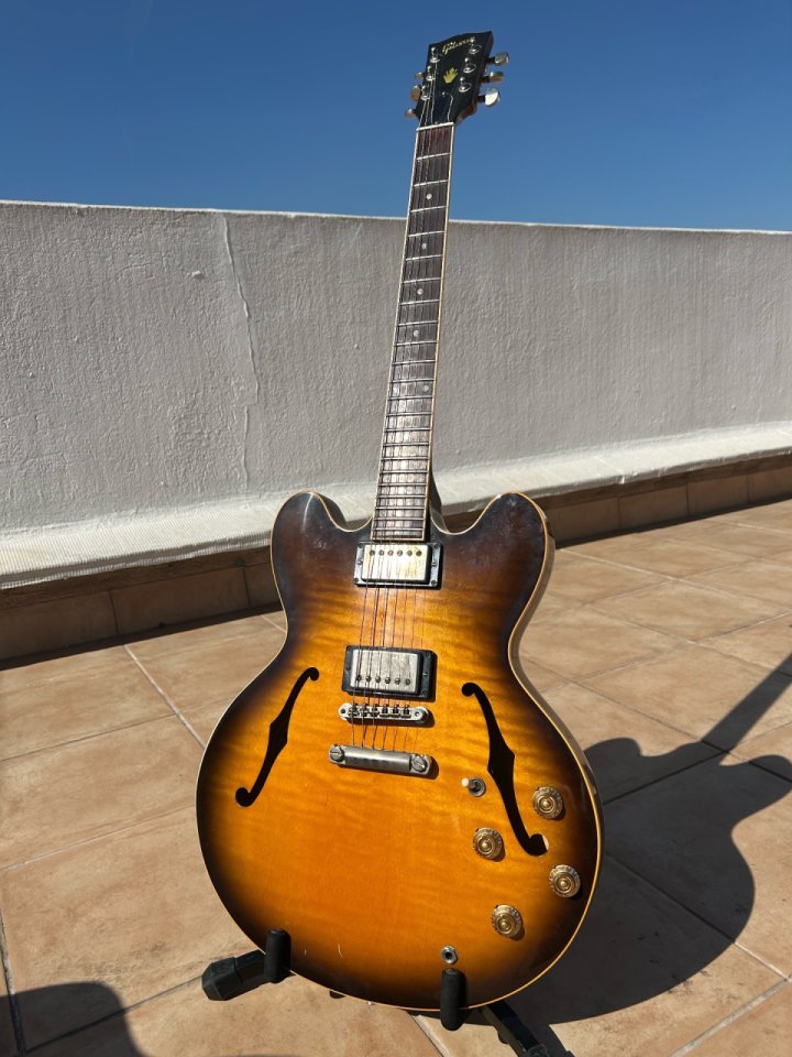 Gibson ES 335 noventera