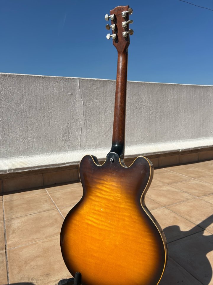 Gibson ES 335 noventera