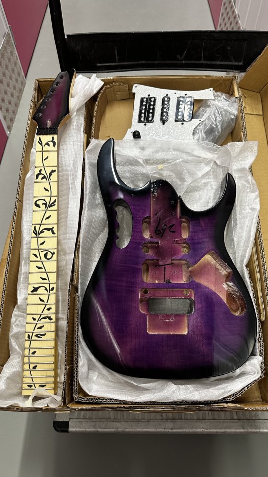 2 Kit Guitarra tipo Jem Steve Vai de segunda mano · Foto 1 de 3 · Burgos · 170 €