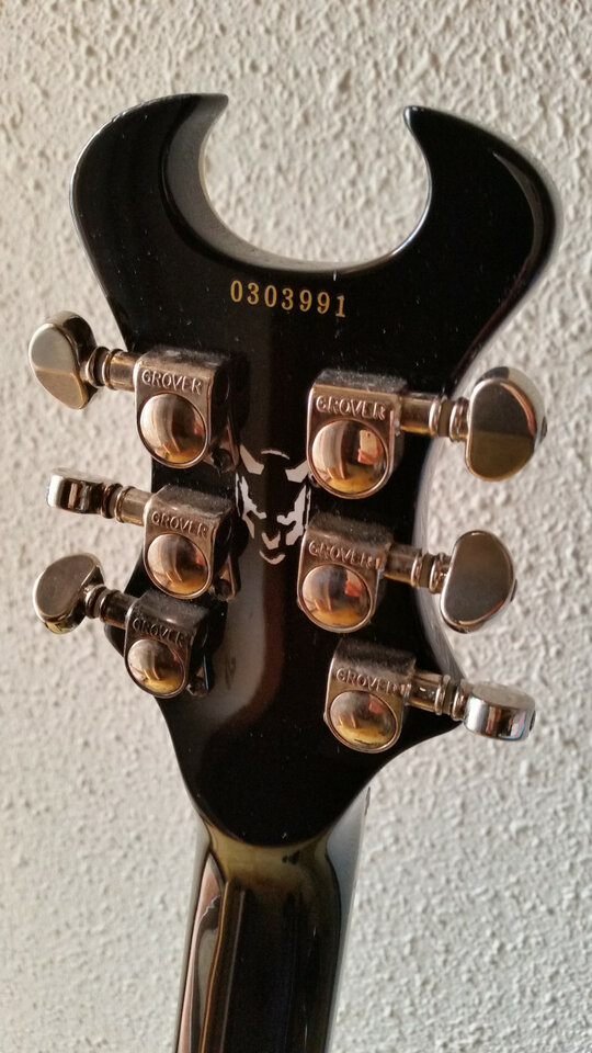 SCHECTER diamond series DEVIL TRIBAL