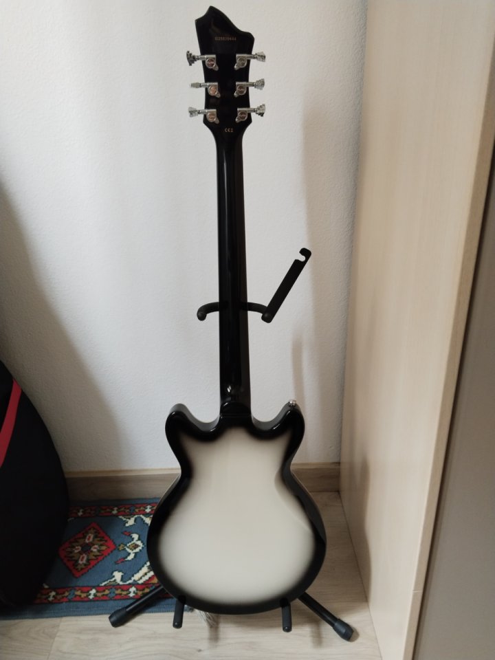 Hagstrom Megin