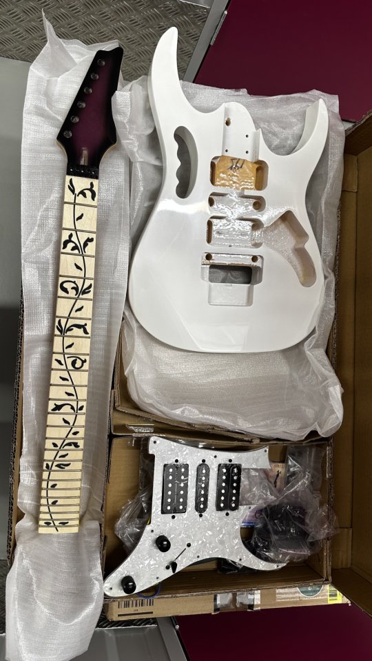 2 Kit Guitarra tipo Jem Steve Vai de segunda mano · Foto 3 de 3 · Burgos · 170 €