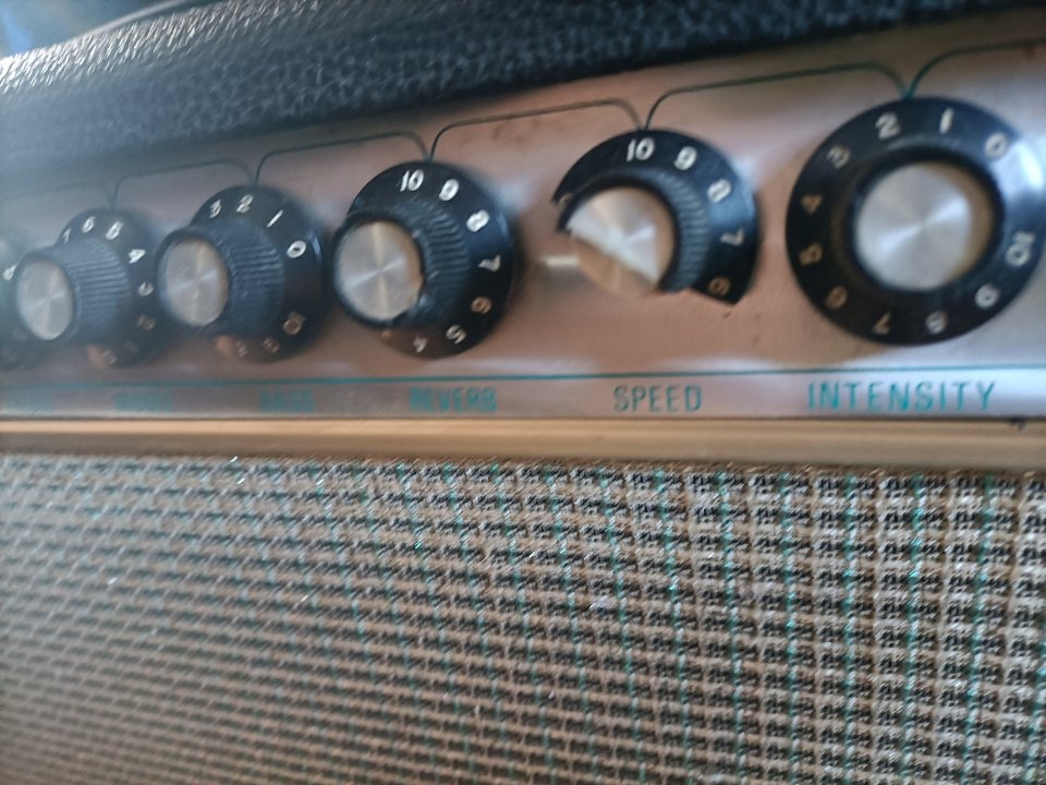 Guyatone Reverb Jazz GA1050  (Fender Pro Reverb clon,era Blackface)  Fujigen - Gakki