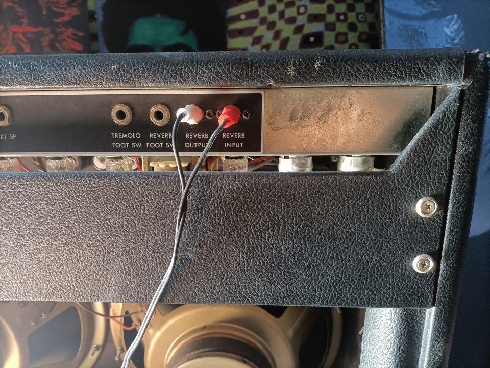 Guyatone Reverb Custom GA1100  (Fender Twin Reverb clon,era Blackface)   Fujigen - Gakki