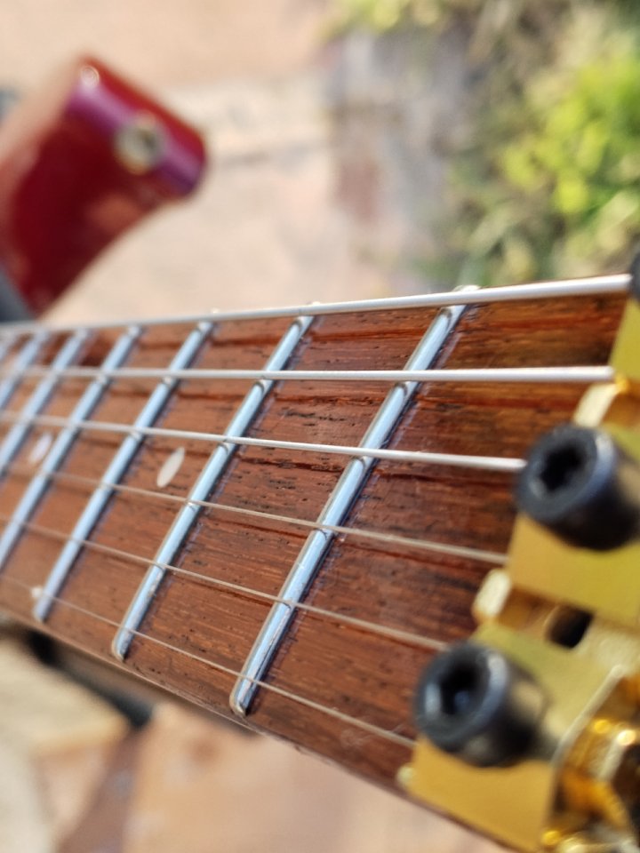 Hamer USA Californian 1988