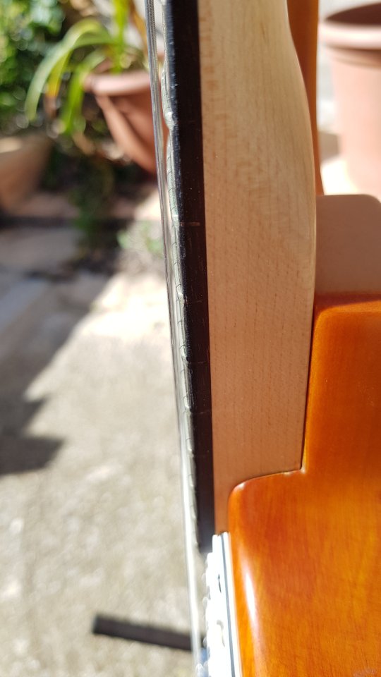 Guitarra tipo strattocaster