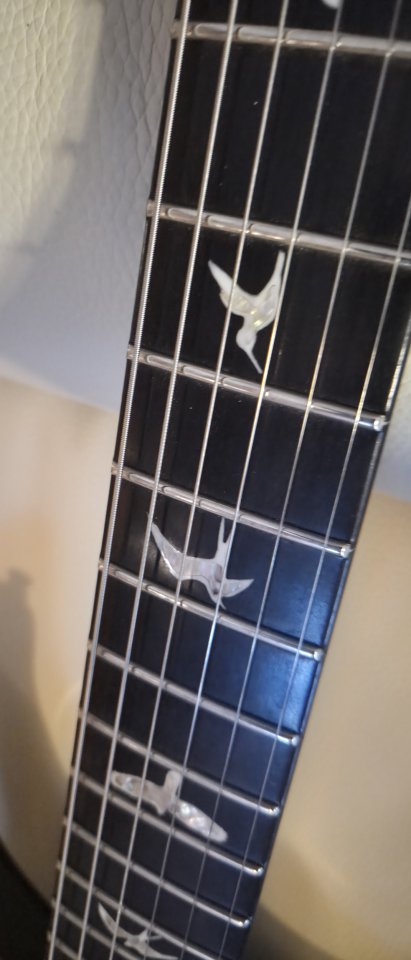 PRS custom 24 esmeralda Green floy rose. de segunda mano · Foto 4 de 5 · Ourense
