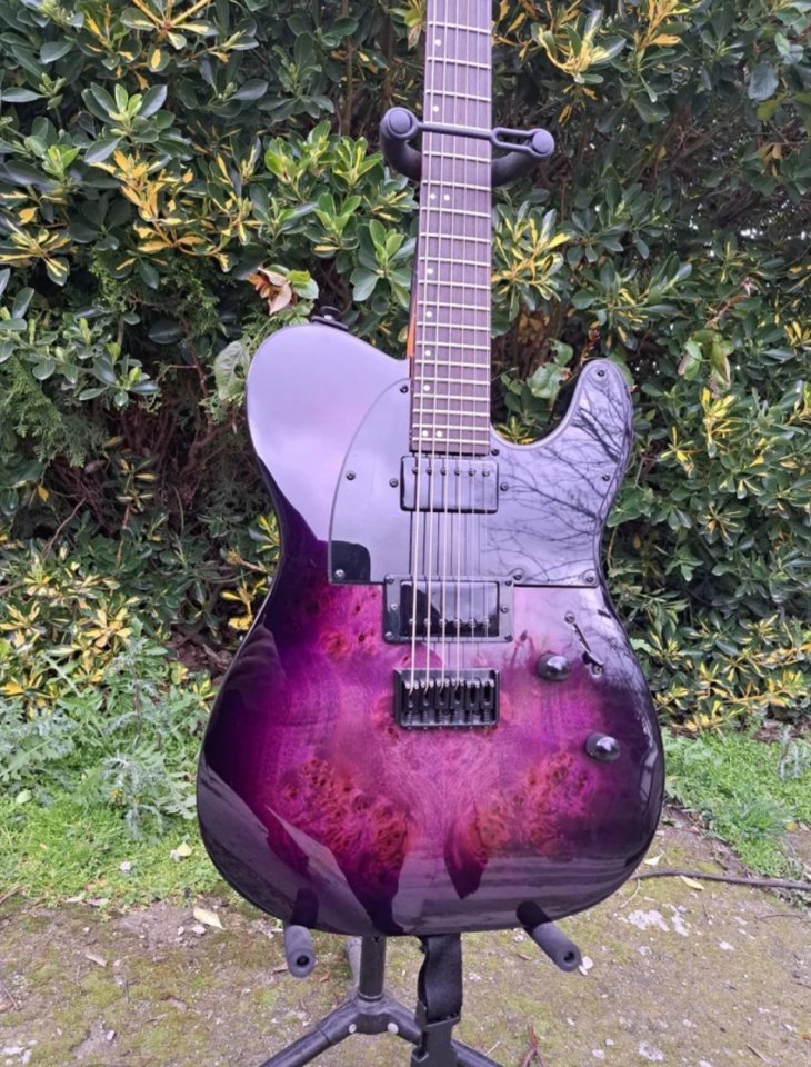 Guitarra Eléctrica ESP LTD TE-200X Morada