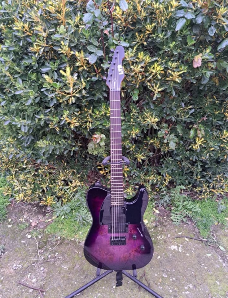 Guitarra Eléctrica ESP LTD TE-200X Morada