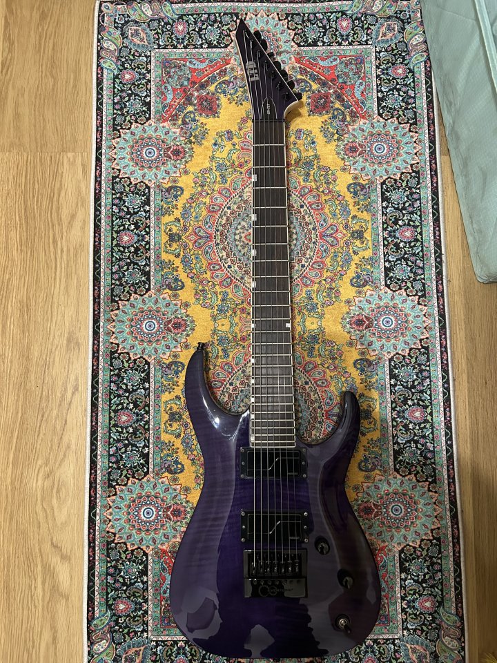 VENDO ESP LTD SH-7ET (7 cuerdas) signature Head (KORN)