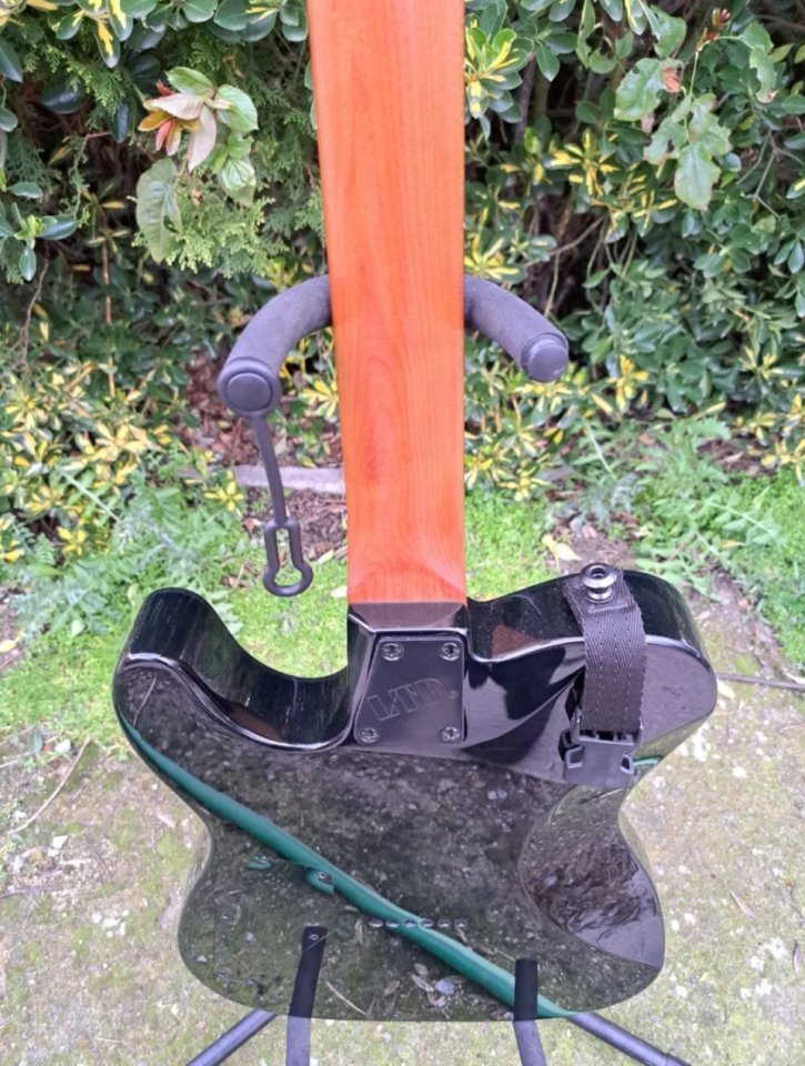 Guitarra Eléctrica ESP LTD TE-200X Morada