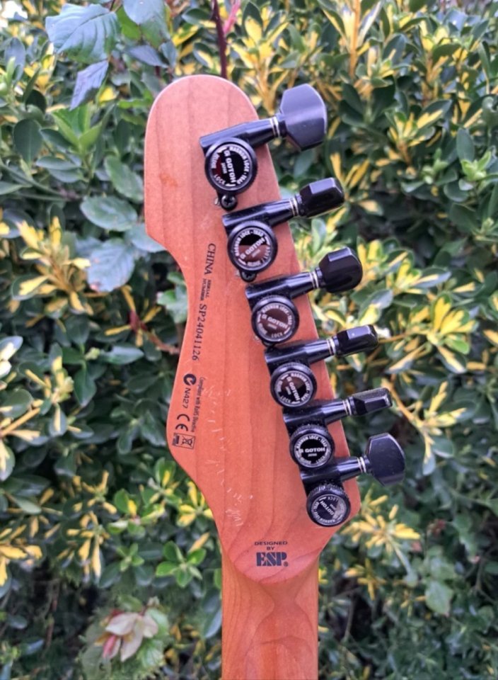 Guitarra Eléctrica ESP LTD TE-200X Morada