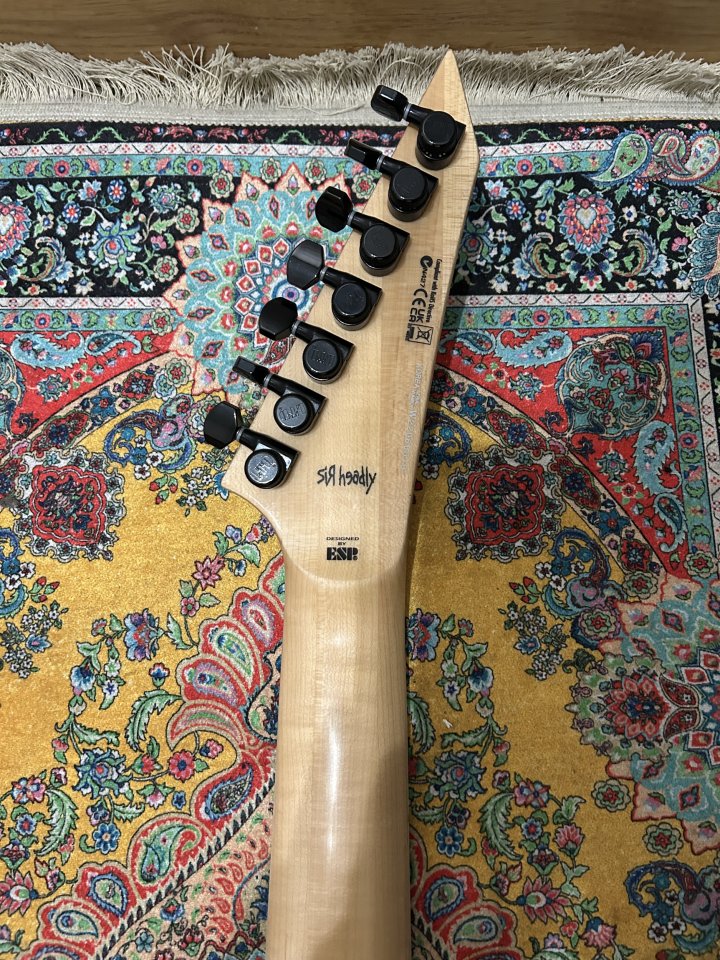 VENDO ESP LTD SH-7ET (7 cuerdas) signature Head (KORN)