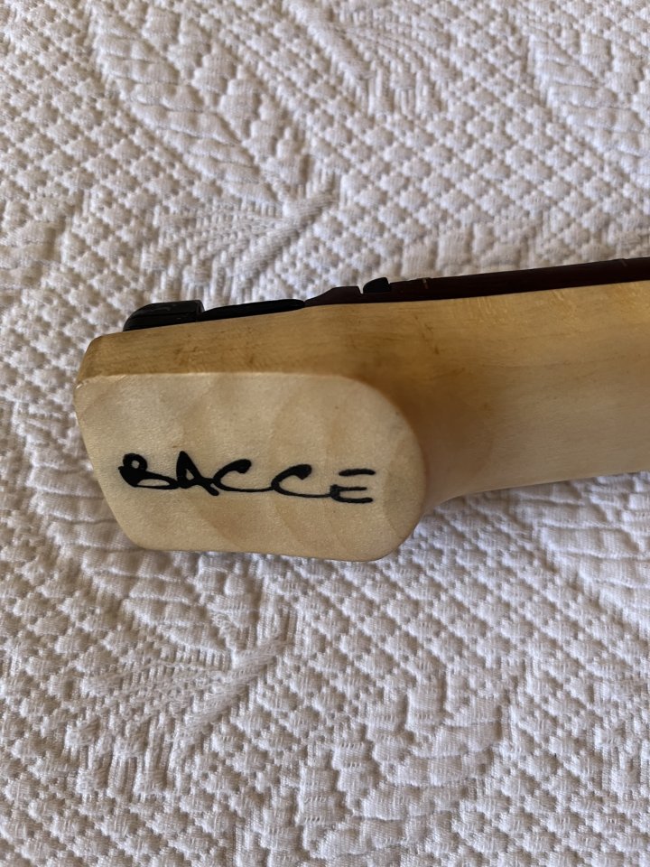 HEADLESS CUSTOM BACCE