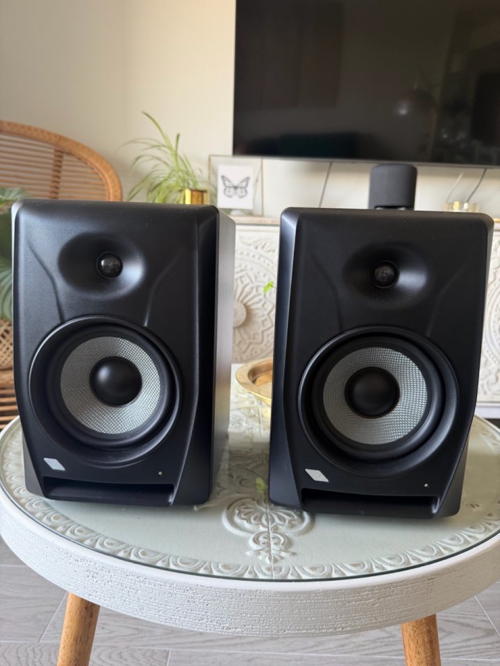 Eikon EK5NF Monitores de estudio