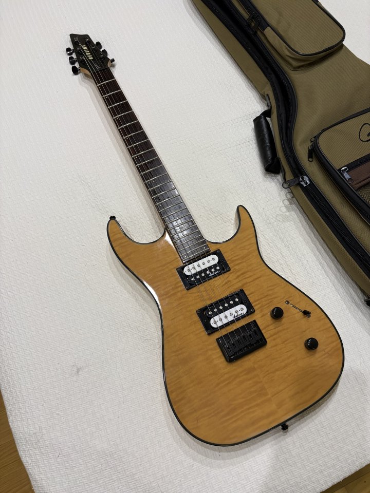 Godin Redline HB (Made in Canada)