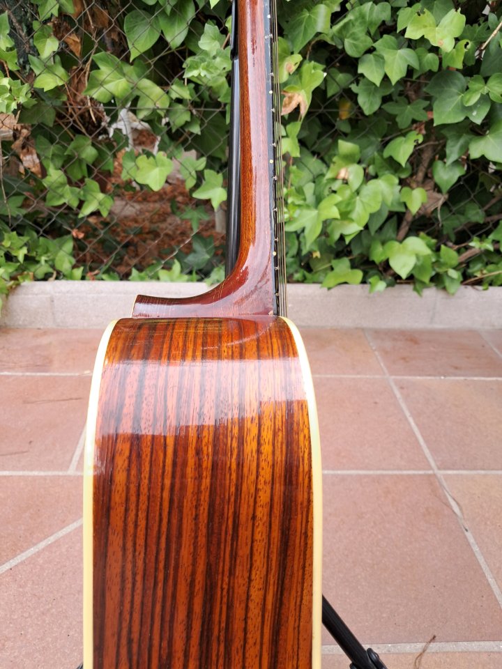 FRAMUS 12 CUERDAS (Años  60).