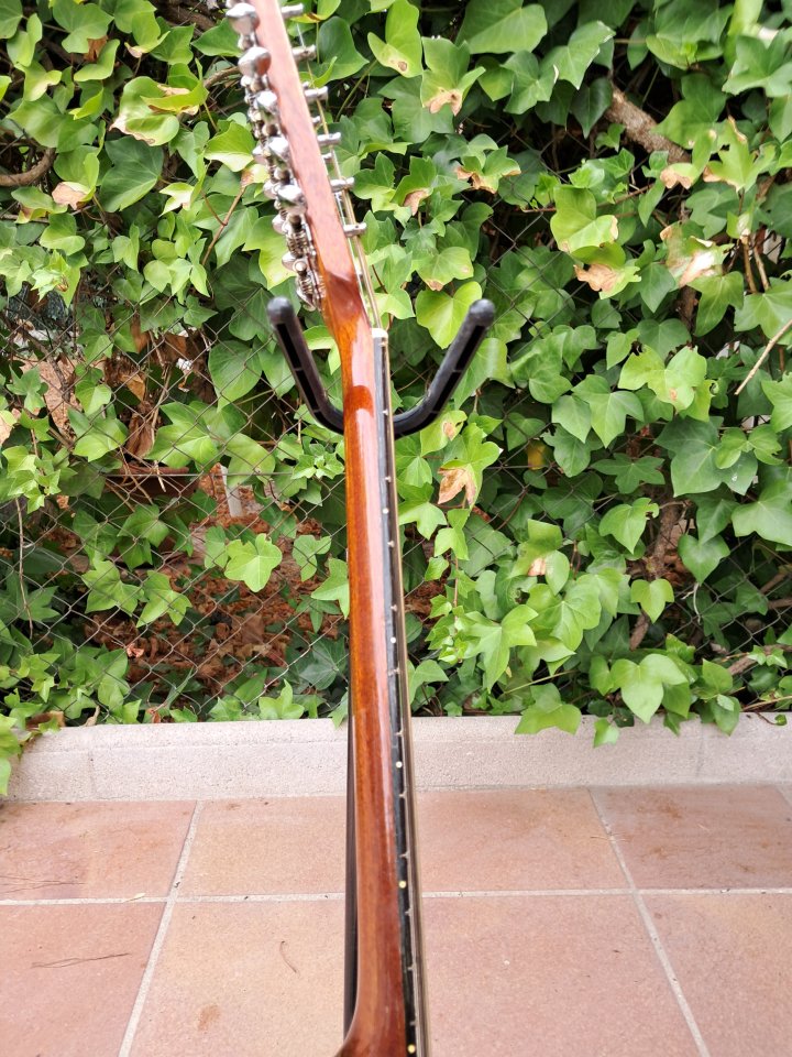 FRAMUS 12 CUERDAS (Años  60).