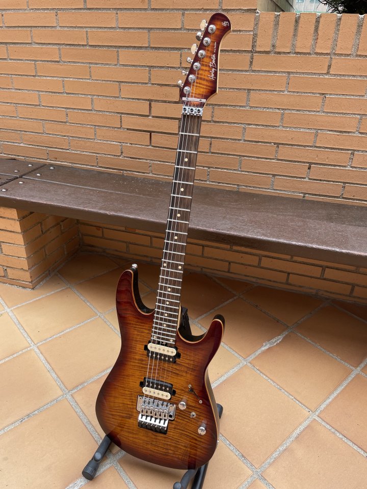 Harley Benton Fusion-II HH FR EB FBB Guitarra mod