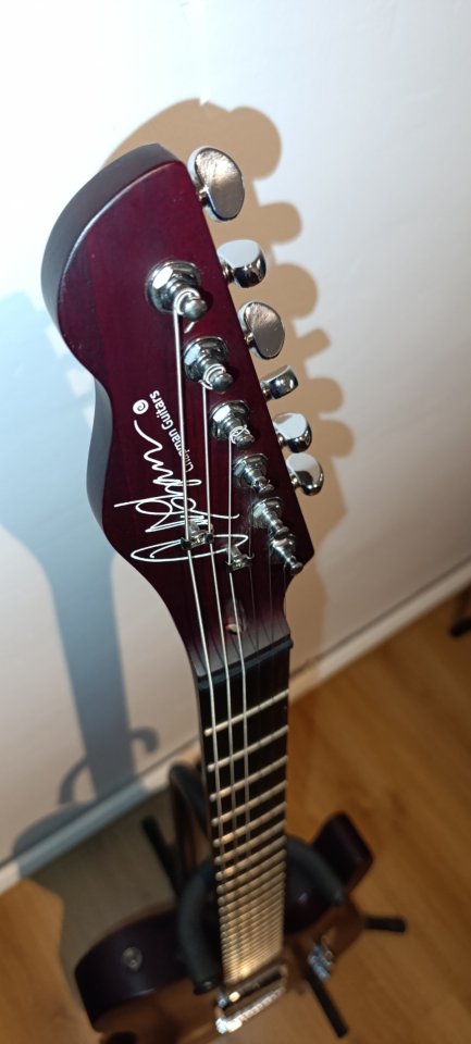 Chapman Guitars ml-3 RC de segunda mano · Foto 4 de 10 · Palencia · 560 €