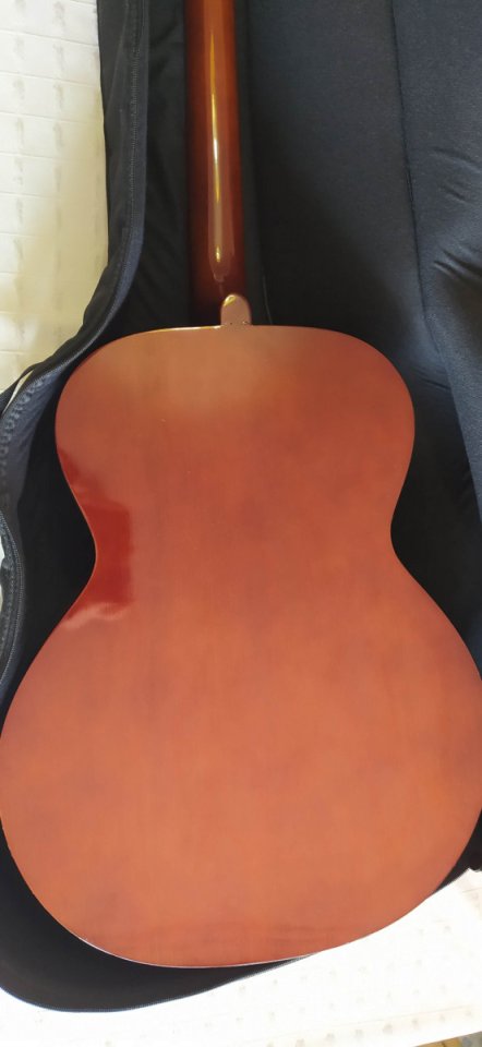 Guitarra acústica Takamine G-230