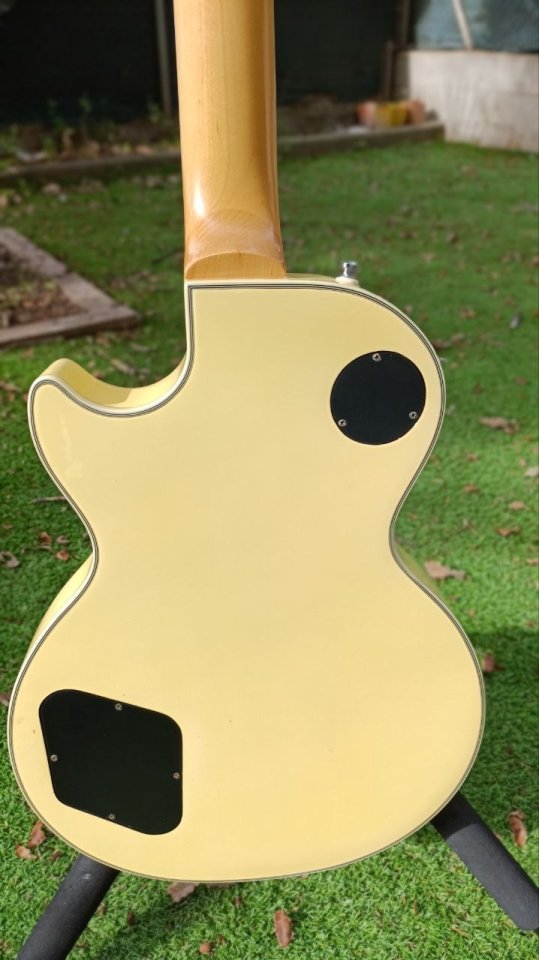 Epiphone Zakk Wylde Bulls Eye 2008 Korea de segunda mano · Foto 6 de 7 · Barcelona · 800 €