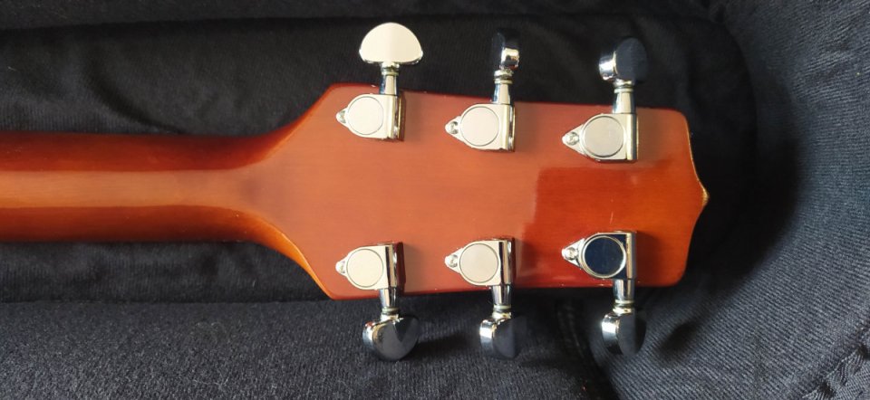 Guitarra acústica Takamine G-230