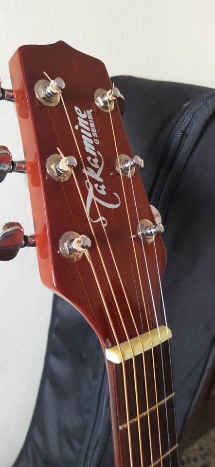Guitarra acústica Takamine G-230