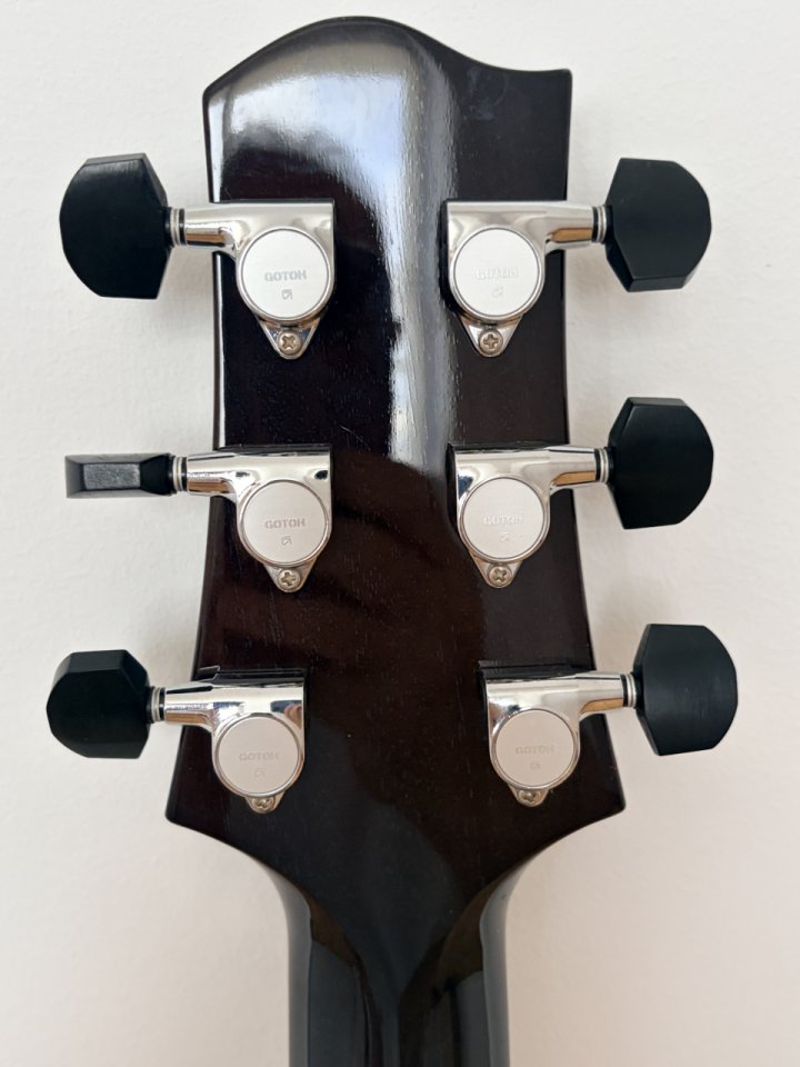 Sadowsky Semi Hollow de segunda mano · Foto 7 de 10 · Valencia · 4000 €