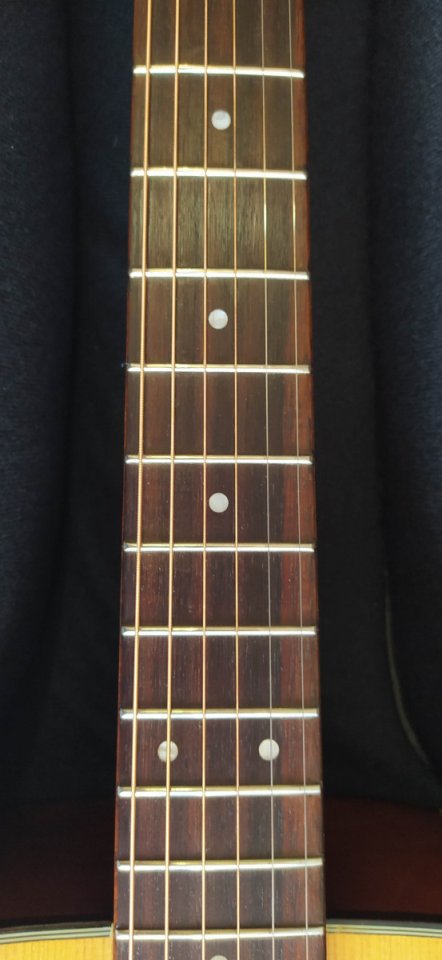 Guitarra acústica Takamine G-230