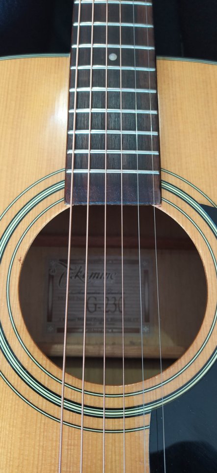Guitarra acústica Takamine G-230