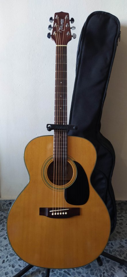 Guitarra acústica Takamine G-230