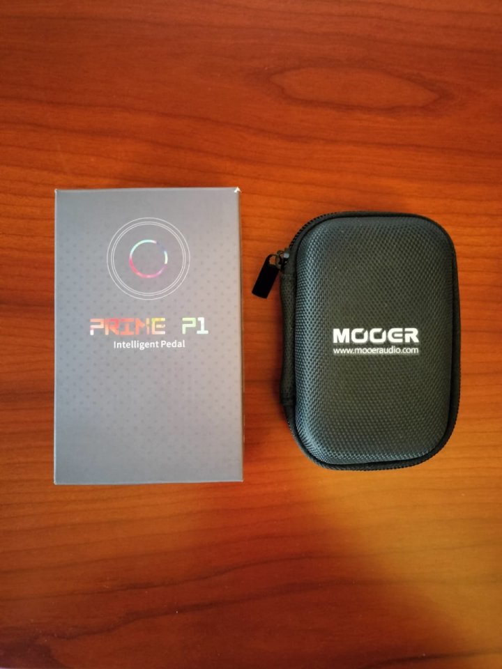 Mooer prime p1