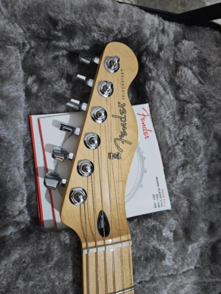 Fender Telecaster Player HH MN TPL