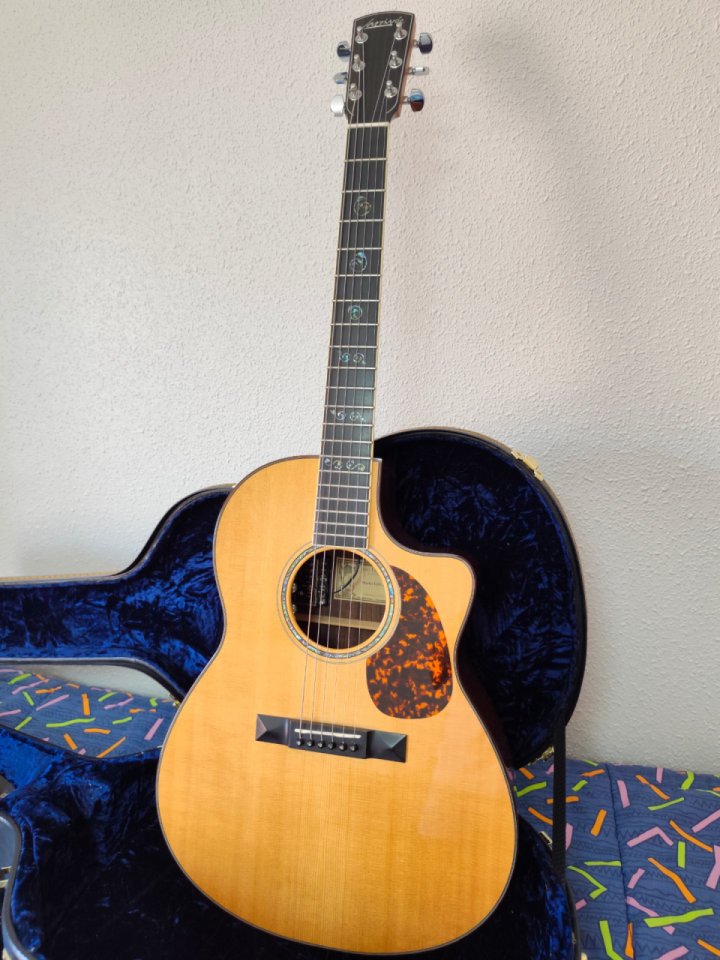 LARRIVEE LSV 11E de segunda mano · Foto 3 de 10 · Zaragoza · 2500 €
